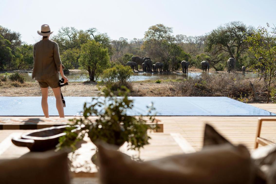 Willa Monwana Thornybush Game Reserve Zewnętrze zdjęcie